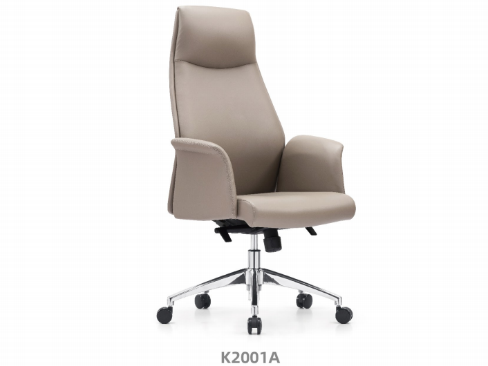 Modern chair for Finance Office 